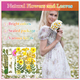 Dried Flowers for Resin, Real Nature Dried Pressed Flower Leaves Bulk with Tweezers for DIY Nail Art Cards Scrapbooking Crafts Jewelry Making Epoxy Cruzix