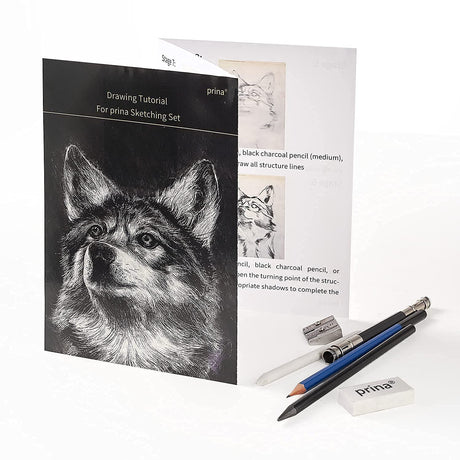 Prina 50 Pack Drawing Set Sketch Kit, Pro Art Sketching Supplies with 3-Color Sketchbook, Graphite, and Charcoal Pencils for Artists Adults Teens PRINA
