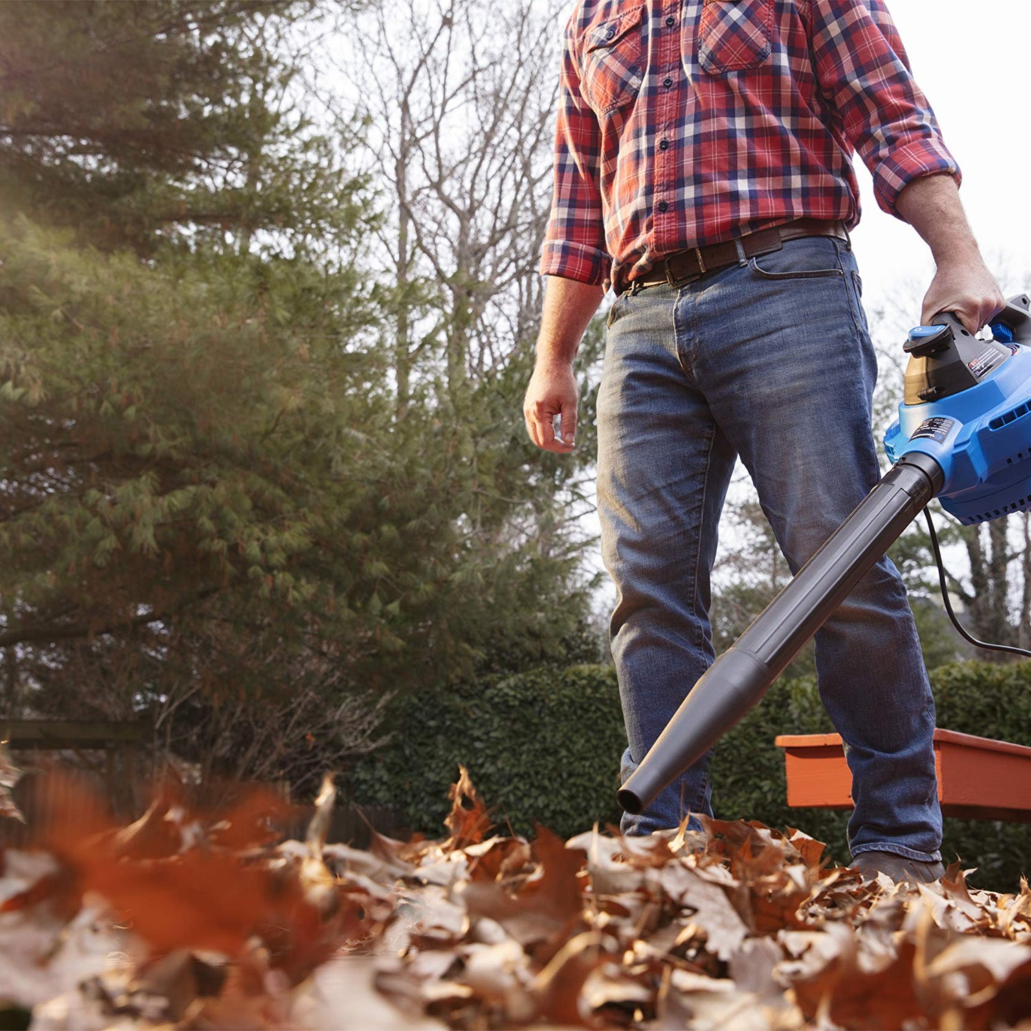 Vacmaster VBV1210, 12-Gallon* 5 Peak HP** Wet/Dry Shop Vacuum with Detachable Blower, Blue Vacmaster