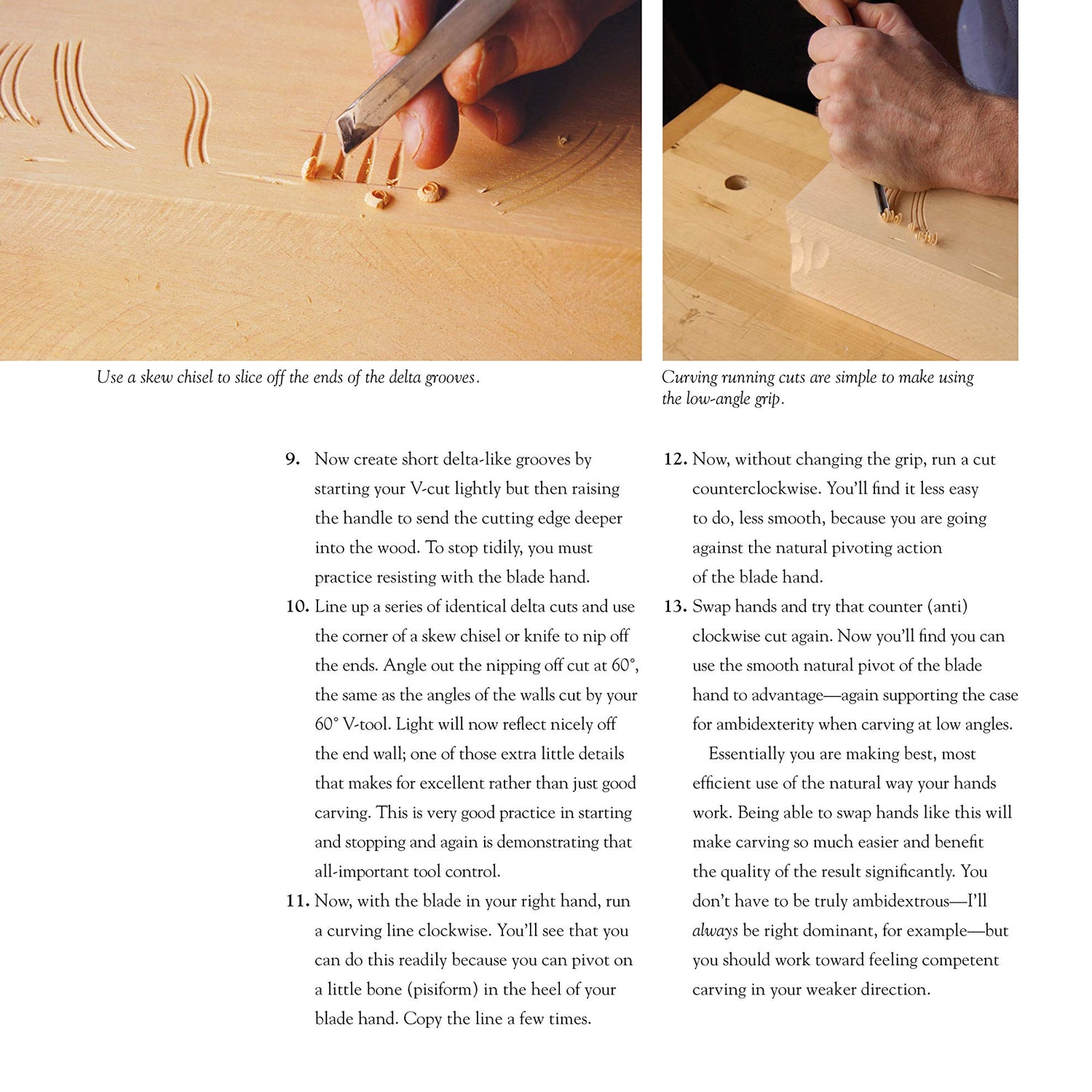 Chris Pye's Woodcarving Course & Reference Manual: A Beginner's Guide to Traditional Techniques (Fox Chapel Publishing) Relief Carving and Design Originals