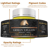 MyArtscape Acrylic Paint Set - 12 x 100ml Bottles - Artist Quality Paints - Lightfast - Heavy Body - Highly Pigmented Colors with Great Coverage - MyArtscape