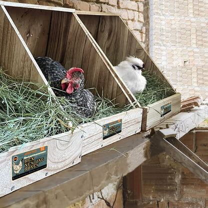 Single Compartment Hens Nesting Box, Chicken Coop Accessories, Wood Nesting Boxes for Up to 5 Hens, Big Duty Laying Nest Box for Duck and Poultry(1 - WoodArtSupply