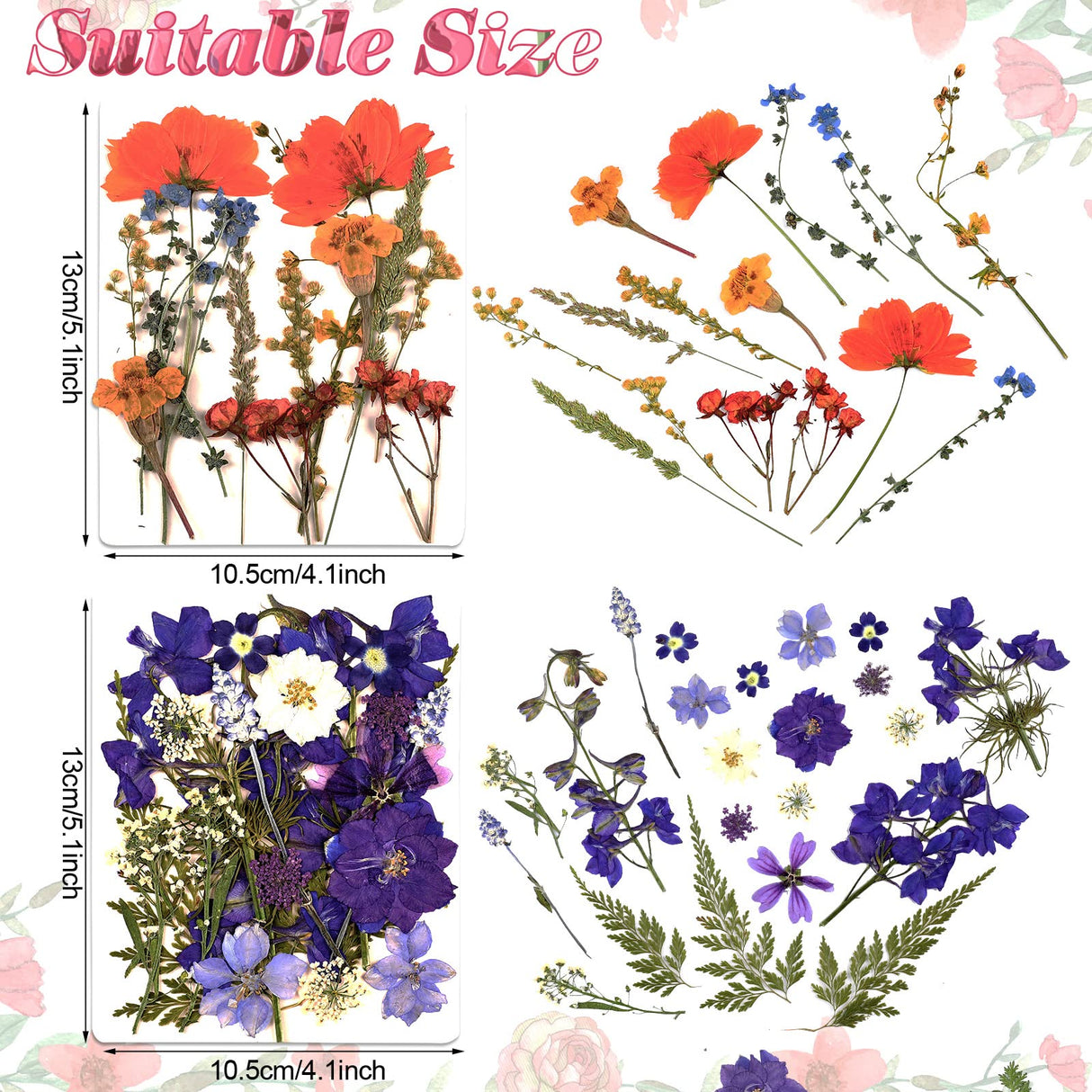 Pressed Flowers Bulk Dried Flower for Resin Mold, Dried Flower Leave Natural with Tweezer for Crafts Christmas DIY Gift Scrapbooking(Gorgeous Style) Nuanchu