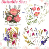 Pressed Flowers Bulk Dried Flower for Resin Mold, Dried Flower Leave Natural with Tweezer for Crafts Christmas DIY Gift Scrapbooking(Gorgeous Style) Nuanchu