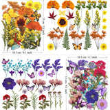 MIKIYA 103Pcs Dried Pressed Flowers with Butterfly Stickers for Resin Molds, Real Natural Bulk Dry Floral Leave for DIY Art Crafts, Epoxy Jewelry, MIKIYA