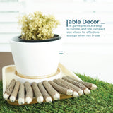 BSIRI Pencil Wood Graphite Wooden Tree Rustic Twig Pencils Birch of 12 Camping Lumberjack Decorations Party Supplies Novelty Gifts Bark Pencils Gifts BSIRI