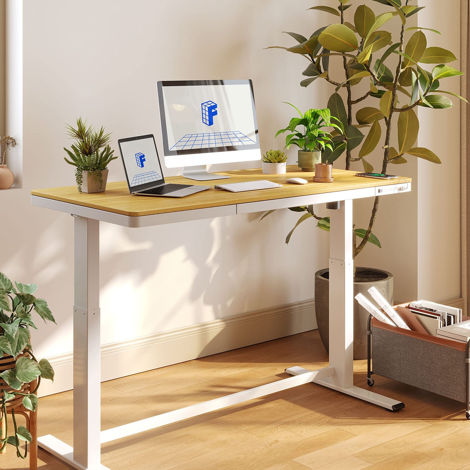 FLEXISPOT 55" Electric Standing Desk with Drawers, Quick Assembly Home Office Sit Stand Desk with Storage, USB Charging, Computer Desk for Home FLEXISPOT