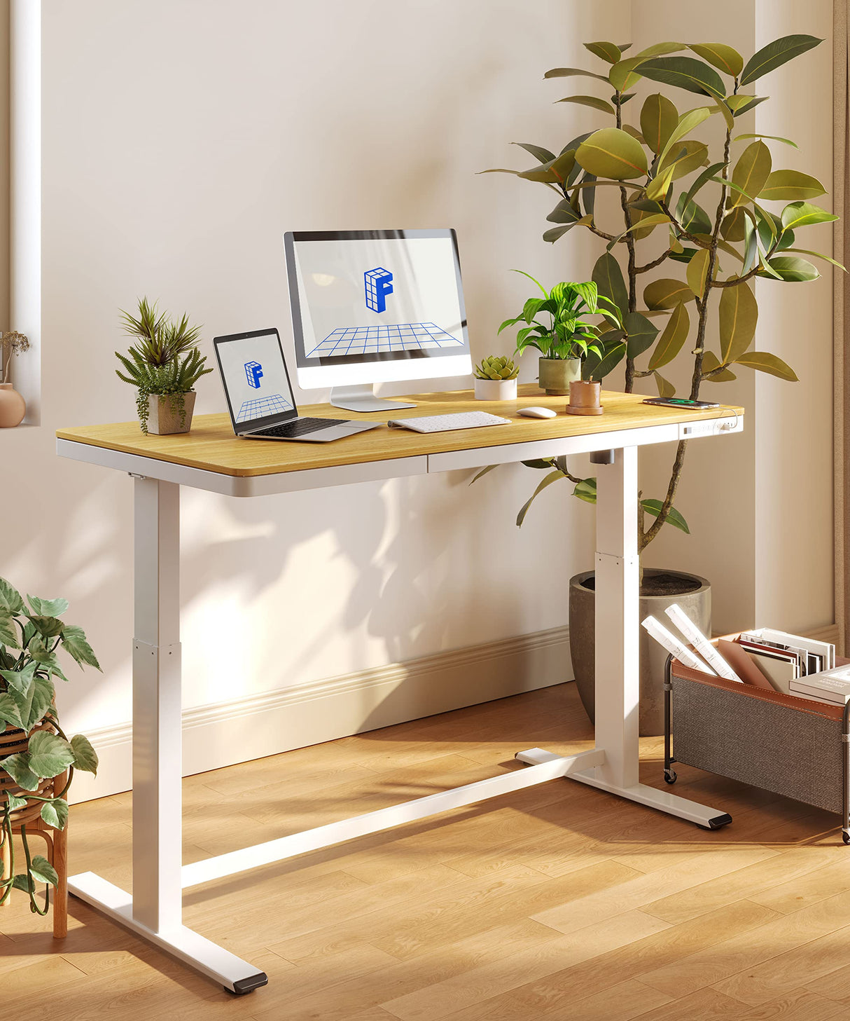 FLEXISPOT 55" Electric Standing Desk with Drawers, Quick Assembly Home Office Sit Stand Desk with Storage, USB Charging, Computer Desk for Home FLEXISPOT