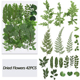 42 Pieces Dried Pressed Leaves Dried Flowers for Resin Real Assorted Dried Greenery for Pressed Leaf Art Craft DIY Embellishment Decorations, 7 BBTO