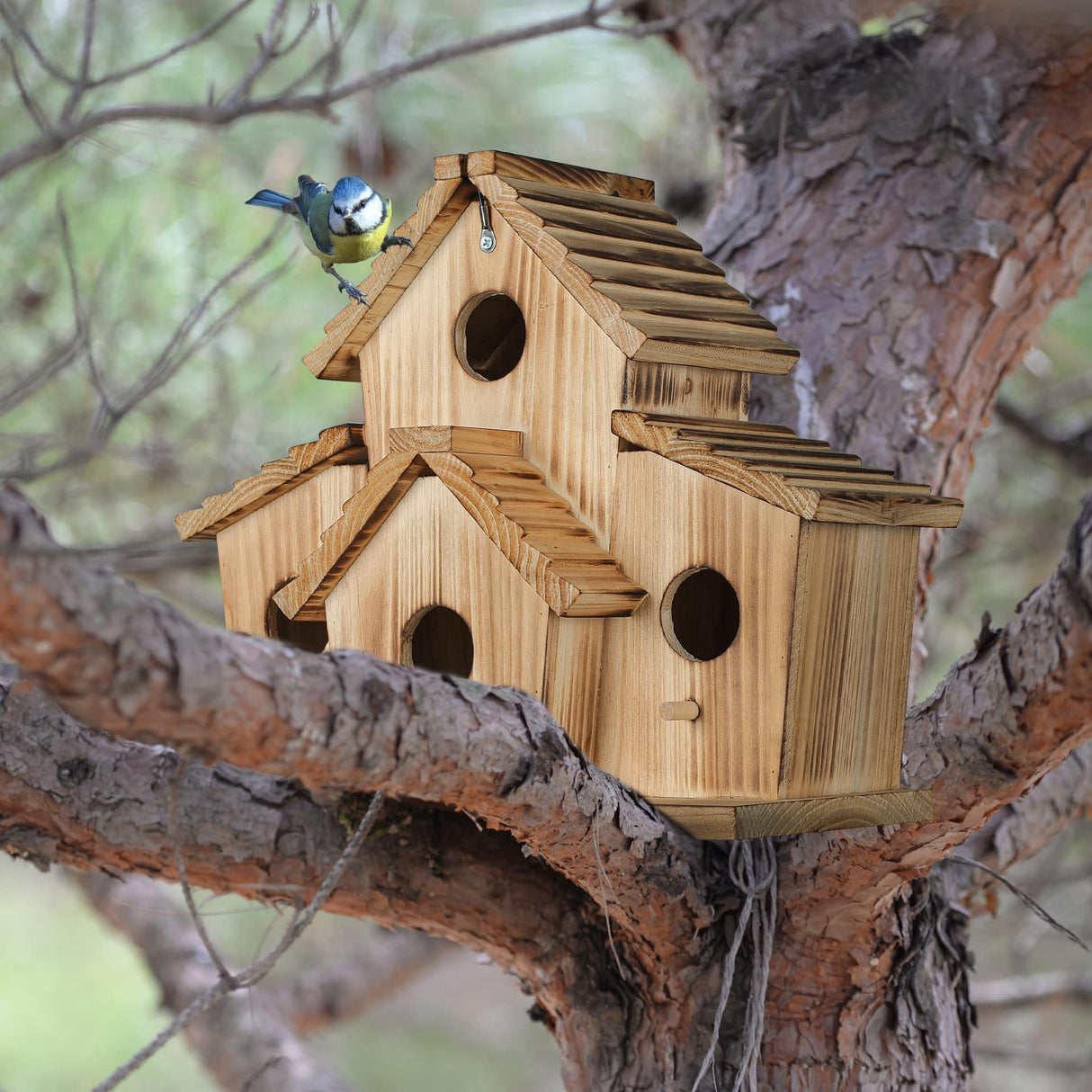 Bird Houses for Outside,Bluebird Finch 4 Room Outdoor Bird Houses for Garden, Up to 4 Bird Families, Large Hole for Bird Families' Needs NATUREYLWL