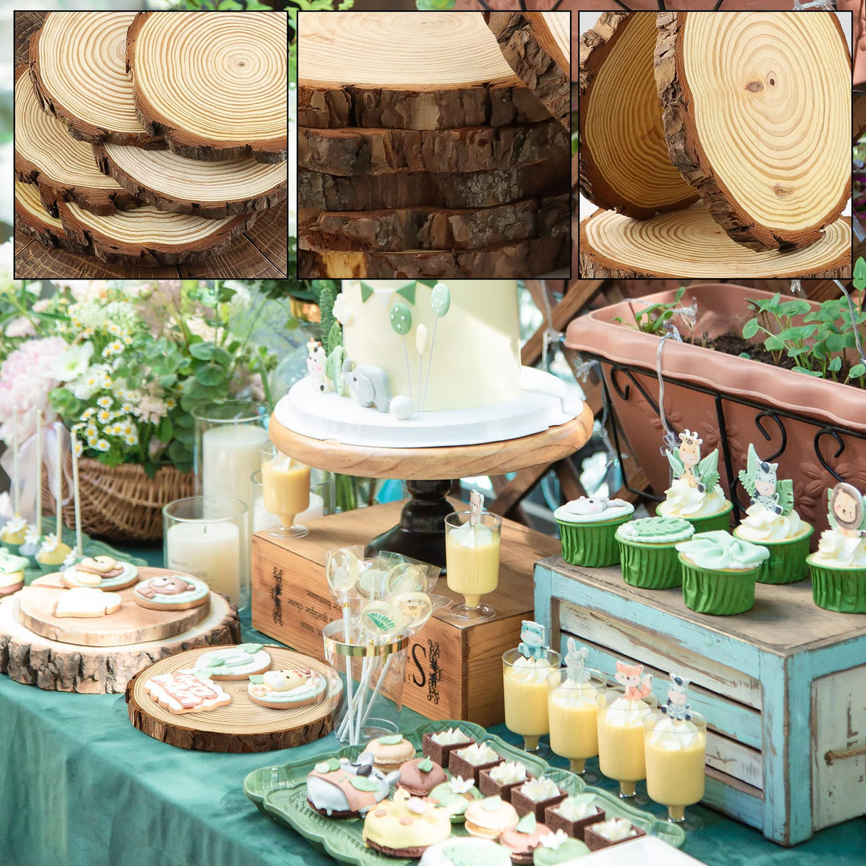 FSWCCK 6 Pack Nature Unfinished Round Wood Slices, 7-8 Inches Wooden Circle, Large Wood Slabs for Weddings Centerpieces Decor and DIY Painting Crafts FSWCCK