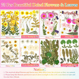 Dried Flowers for Resin, Real Nature Dried Pressed Flower Leaves Bulk with Tweezers for DIY Nail Art Cards Scrapbooking Crafts Jewelry Making Epoxy Cruzix