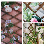 Pack of 2 Wooden Lattice Wall Planter- Extra Thick Expandable Plant Climb Hanging Frame Trellis Plant Support Fence Indoor Air Plant Vertical Rack ANPHSIN