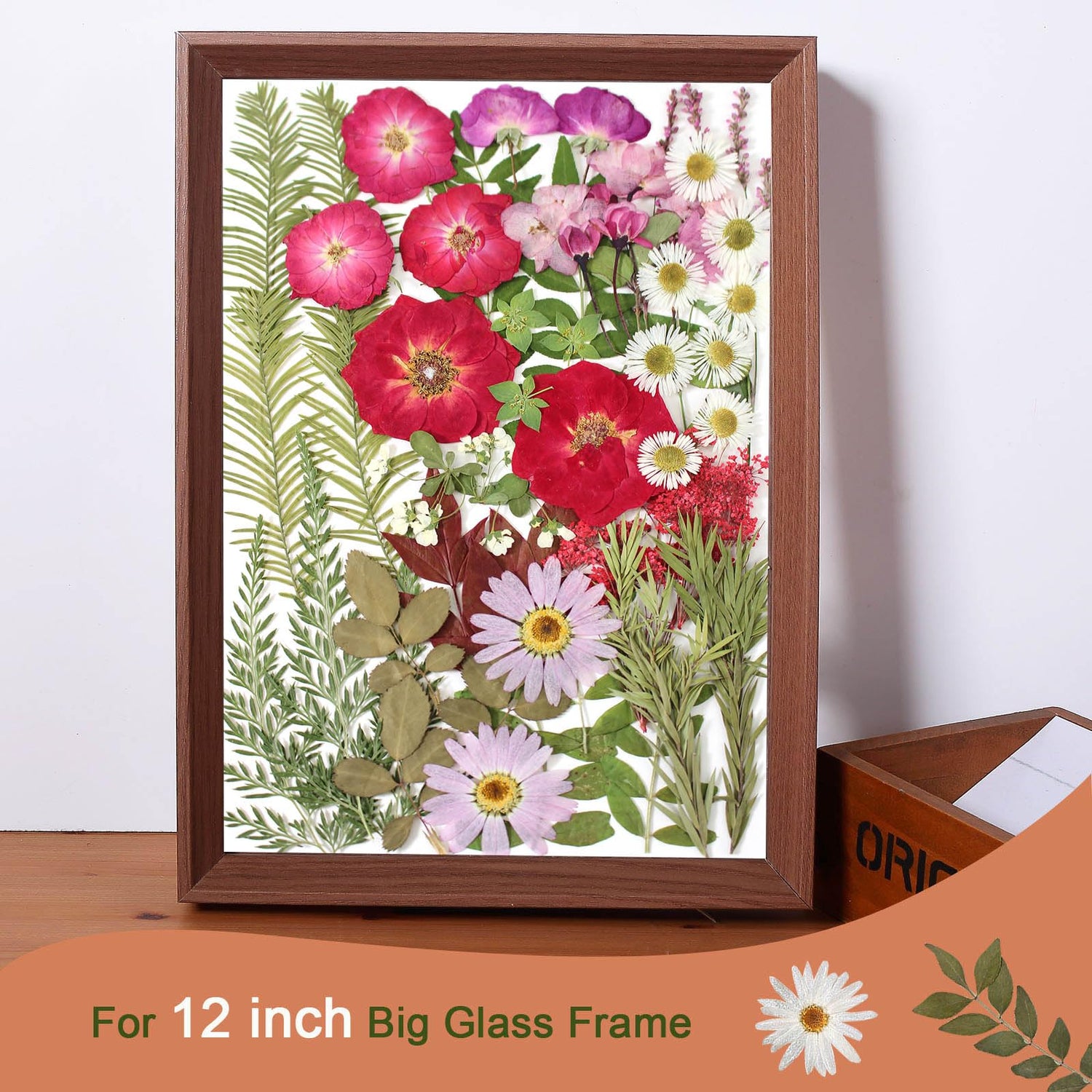 A5 Large Bulk Christmas Dried Pressed Flowers for Christmas Decor, Real Dry Natural Flower Leaf Daisy for Resin Mold, Cake Decor, Phone Cases ( ZMRU