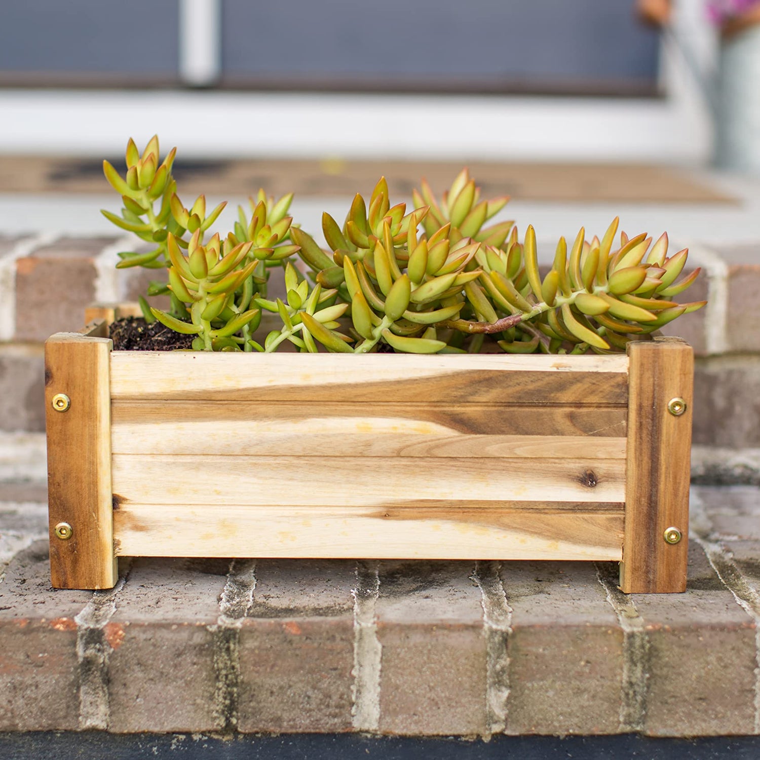 Avera Products | Raised Garden Bed | Rectangle Wood Planter Box | The Perfect Wooden Flower Box | 16" x 7.5" x 6.5" | Great Small Vegetable or Herb Avera Products