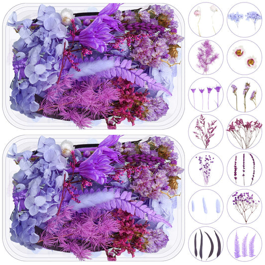 2 Boxes Dried Purple Flowers Dried Flowers for Resin Crafts Real Natural Leaves Petals Pressed Flowers 13 Types Dried Flowers for DIY Candle Nails - WoodArtSupply