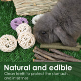 PStarDMoon Bunny Grass House-Hand Made Edible Natural Grass Hideaway Comfortable Playhouse for Rabbits, Guinea Pigs and Small Animals to Play,Sleep PStarDMoon