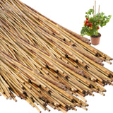Suclain 100 Pcs Bamboo Plant Stakes Plant Support Stakes Indoor and Outdoor Garden Sticks Garden Stakes for Tomato, Bean, Flowers, Trees Potted and Suclain
