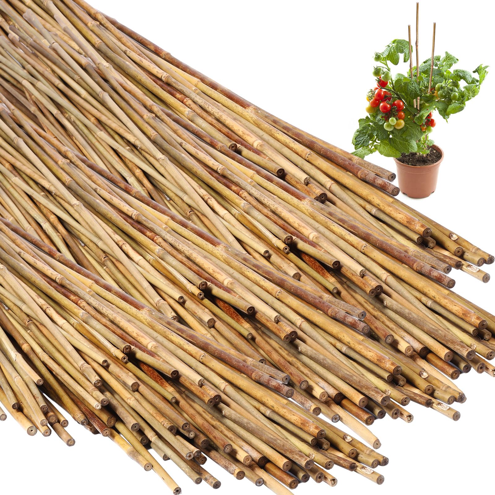 Suclain 100 Pcs Bamboo Plant Stakes Plant Support Stakes Indoor and Outdoor Garden Sticks Garden Stakes for Tomato, Bean, Flowers, Trees Potted and - WoodArtSupply