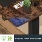 FLEXISPOT 55 x 28 Inches Electric Stand Up Desk Workstation, Whole-Piece Desk Board Home Office Computer Standing Table Height Adjustable Desk (Black FLEXISPOT