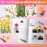 Dried Flowers for Resin, Real Nature Dried Pressed Flower Leaves Bulk with Tweezers for DIY Nail Art Cards Scrapbooking Crafts Jewelry Making Epoxy Cruzix