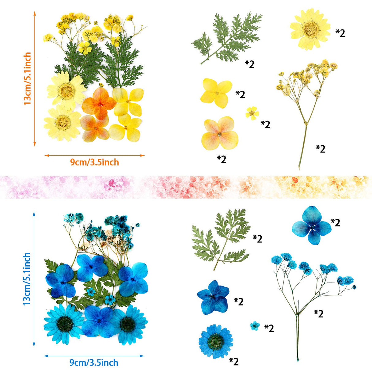 Nuanchu Pressed Flowers Bulk Dried Flower for Resin Mold, Dried Flower Leave Natural with Tweezer for Crafts Christmas DIY Gift Papermaking(Colorful Nuanchu