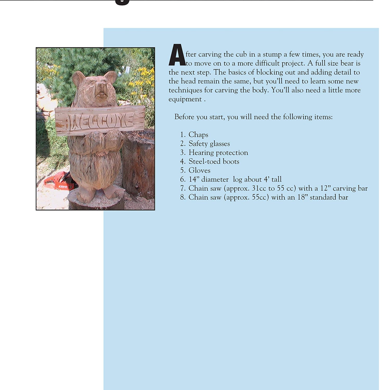 Chainsaw Carving a Bear: A Complete Step-By-Step Guide (Fox Chapel Publishing) Beginner-Friendly Details and Easy-to-Follow Illustrated Instructions Design Originals