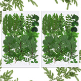 42 Pieces Dried Pressed Leaves Dried Flowers for Resin Real Assorted Dried Greenery for Pressed Leaf Art Craft DIY Embellishment Decorations, 7 BBTO