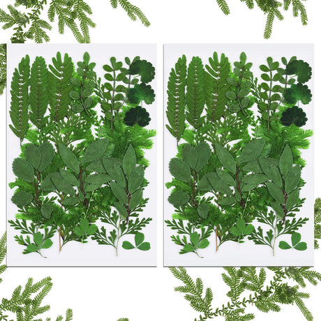 42 Pieces Dried Pressed Leaves Dried Flowers for Resin Real Assorted Dried Greenery for Pressed Leaf Art Craft DIY Embellishment Decorations, 7 BBTO