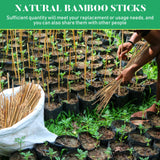 Suclain 100 Pcs Bamboo Plant Stakes Plant Support Stakes Indoor and Outdoor Garden Sticks Garden Stakes for Tomato, Bean, Flowers, Trees Potted and Suclain