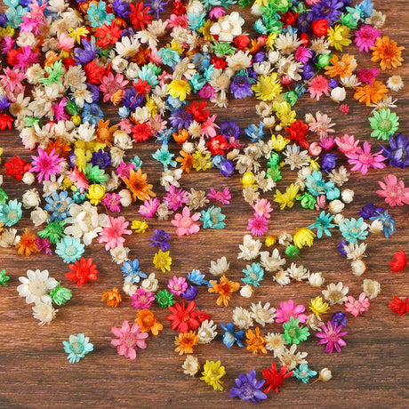 MIDELONG 200 PCS Small Dried Flowers for Crafts Resin, Colorful Dried Flowers for Nails, Natural Real Tiny Dried Pressed Flowers for Jewelry Earrings MIDELONG