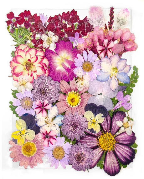 18 Types 37pcs Purple Dried Pressed Flowers for Resin Molds,YouthBro Real Natural Pressed Flowers for DIY Art Crafts,Candle Making, Nails Décor,Soap YouthBro