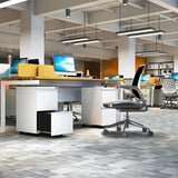 BIZOEIRON 2 Drawer Mobile File Cabinet,Under Desk Metal Filing Cabinet with Lock and Wheels,Rolling File Cabinet for Home Office Legal/Letter/A4 File BIZOEIRON