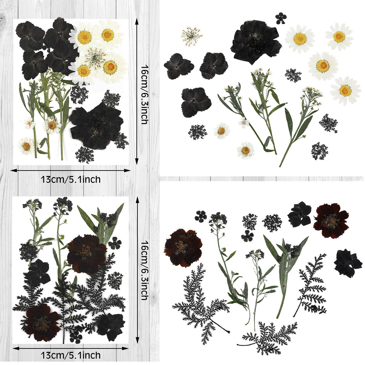 Pressed Flowers Bulk Dried Flower for Resin Mold, Dried Flower Leave Natural with Tweezer for Crafts Christmas DIY Gift Scrapbooking(Darkly Style) Nuanchu