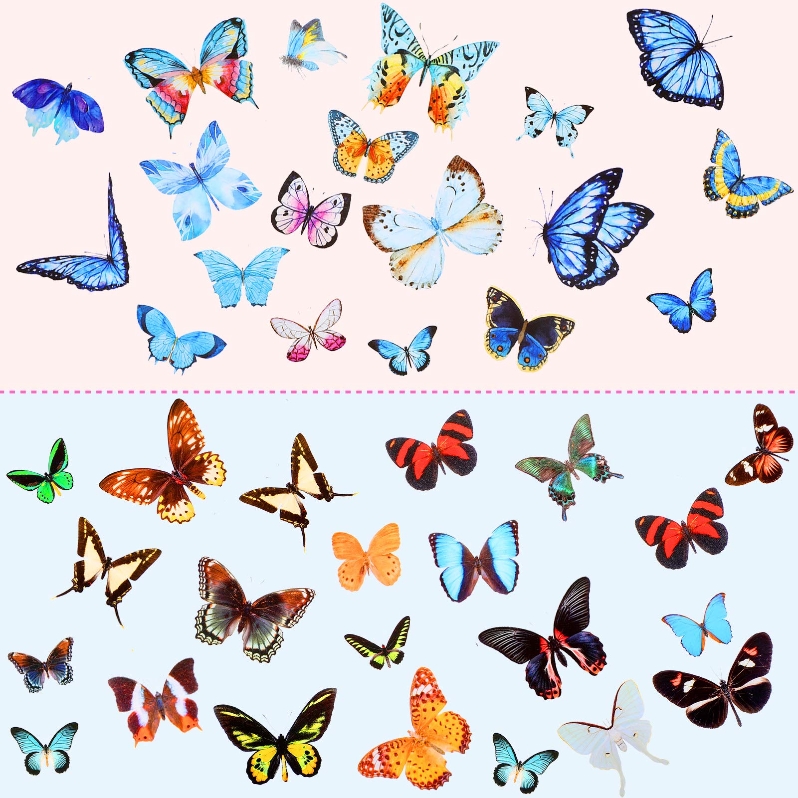 Dried Pressed Flower and Butterfly Transparent Sticker Set, Natural Real Dried Flower Butterfly Scrapbook Decal with Box and Curved Tweezers for DIY - WoodArtSupply