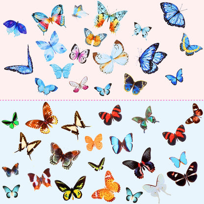 Dried Pressed Flower and Butterfly Transparent Sticker Set, Natural Real Dried Flower Butterfly Scrapbook Decal with Box and Curved Tweezers for DIY - WoodArtSupply