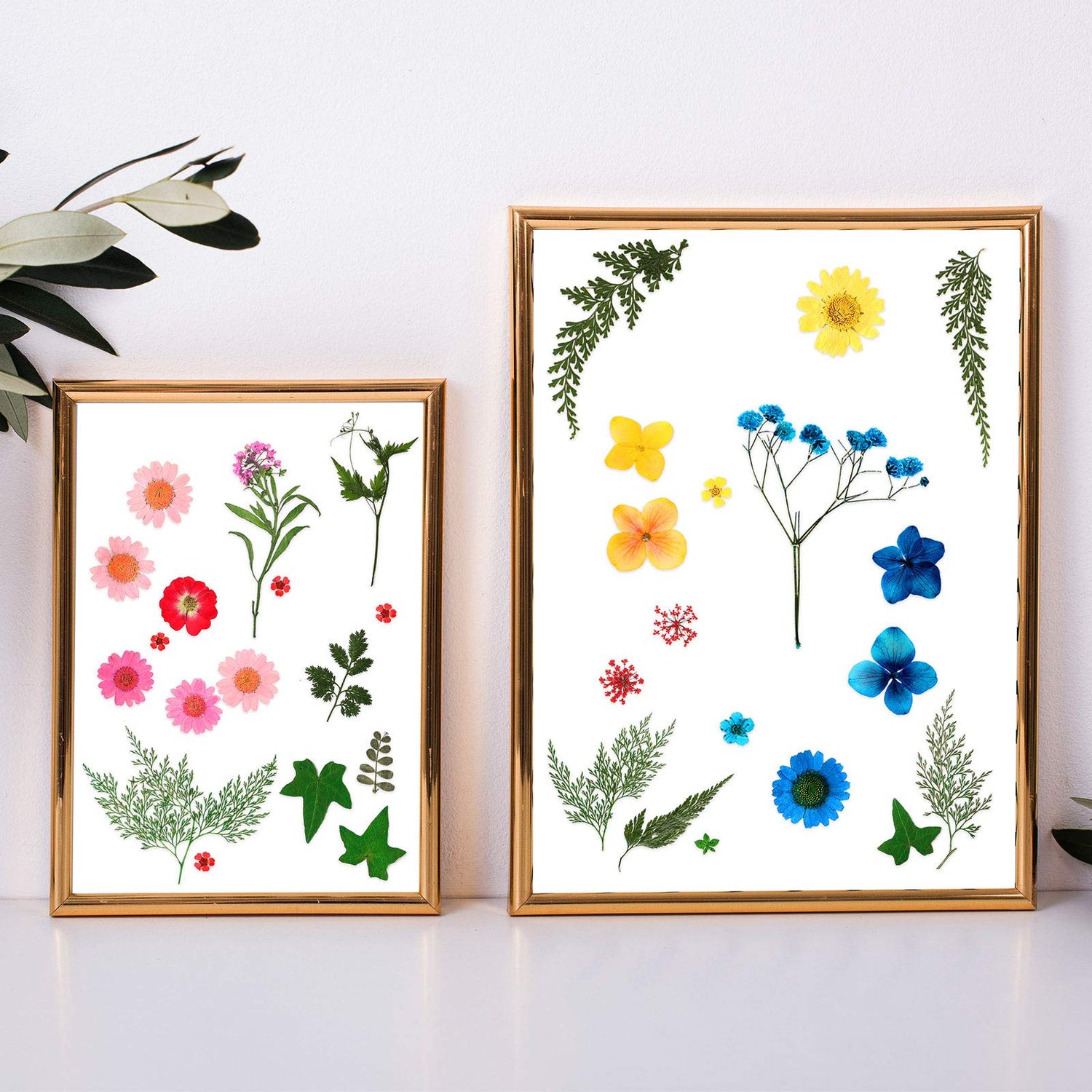 Nuanchu Pressed Flowers Bulk Dried Flower for Resin Mold, Dried Flower Leave Natural with Tweezer for Crafts Christmas DIY Gift Papermaking(Colorful Nuanchu