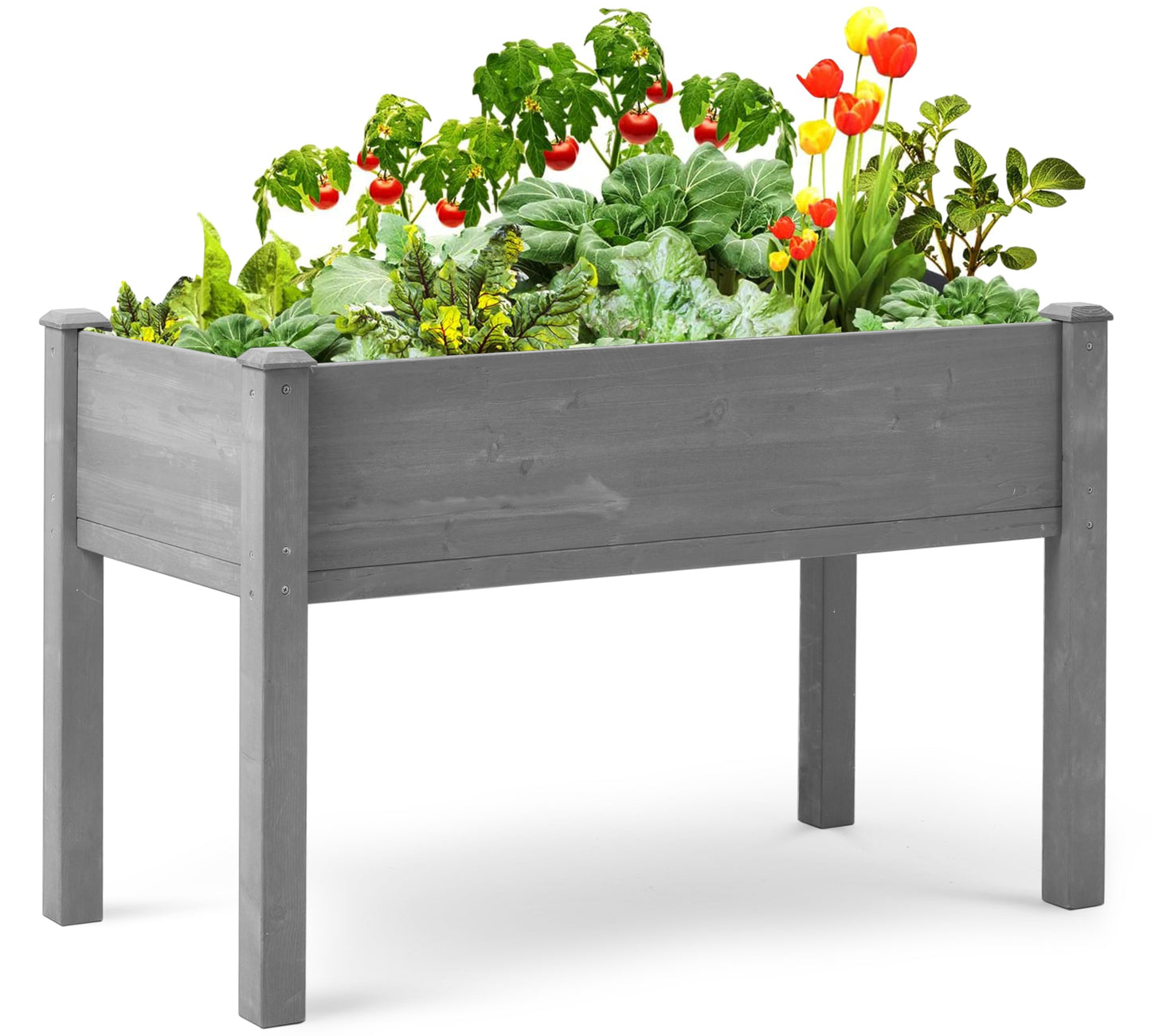 Raised Garden Bed with Legs (48x24x30''), Solid Wood Elevated Planter Box for Outdoor