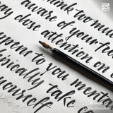 Speedball Super Black India Ink, 2-Ounce Speedball