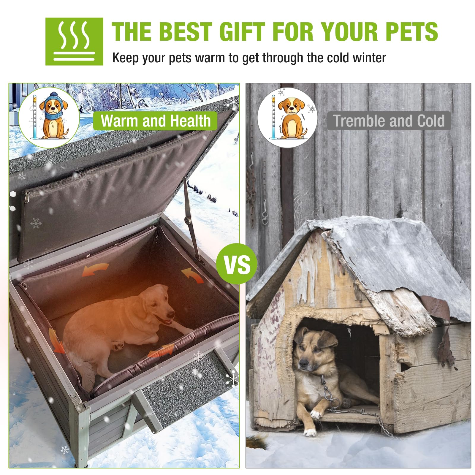 Animal Little Dog Shelter Animal Shoponline Shelter Best Little