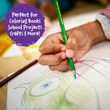 Crayola Colored Pencils Set (120ct), Coloring Book Pencils, Holiday Gifts for Kids, Bulk Colored Pencil Kit, Art Supplies, Ages 3+ Crayola