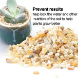 Coarse Silica Sand 2.2Lb for Bonsai Cacti Succulent and Carnivorous Plant Mix WoodArtSupply