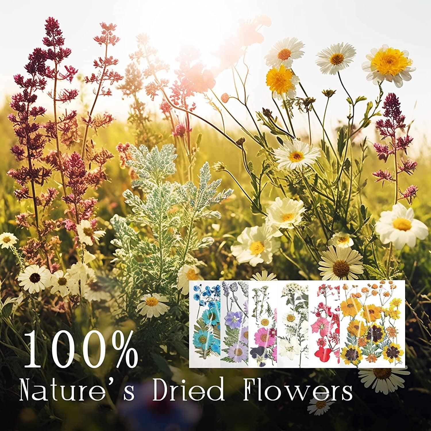 Dried Flowers for Resin, 103Pcs Natural Flowers and Leaves Compressed, Vacuum Packed DIY Pressed Flowers for Epoxy, Jewelry, Candles, Soap, Nail WoodArtSupply