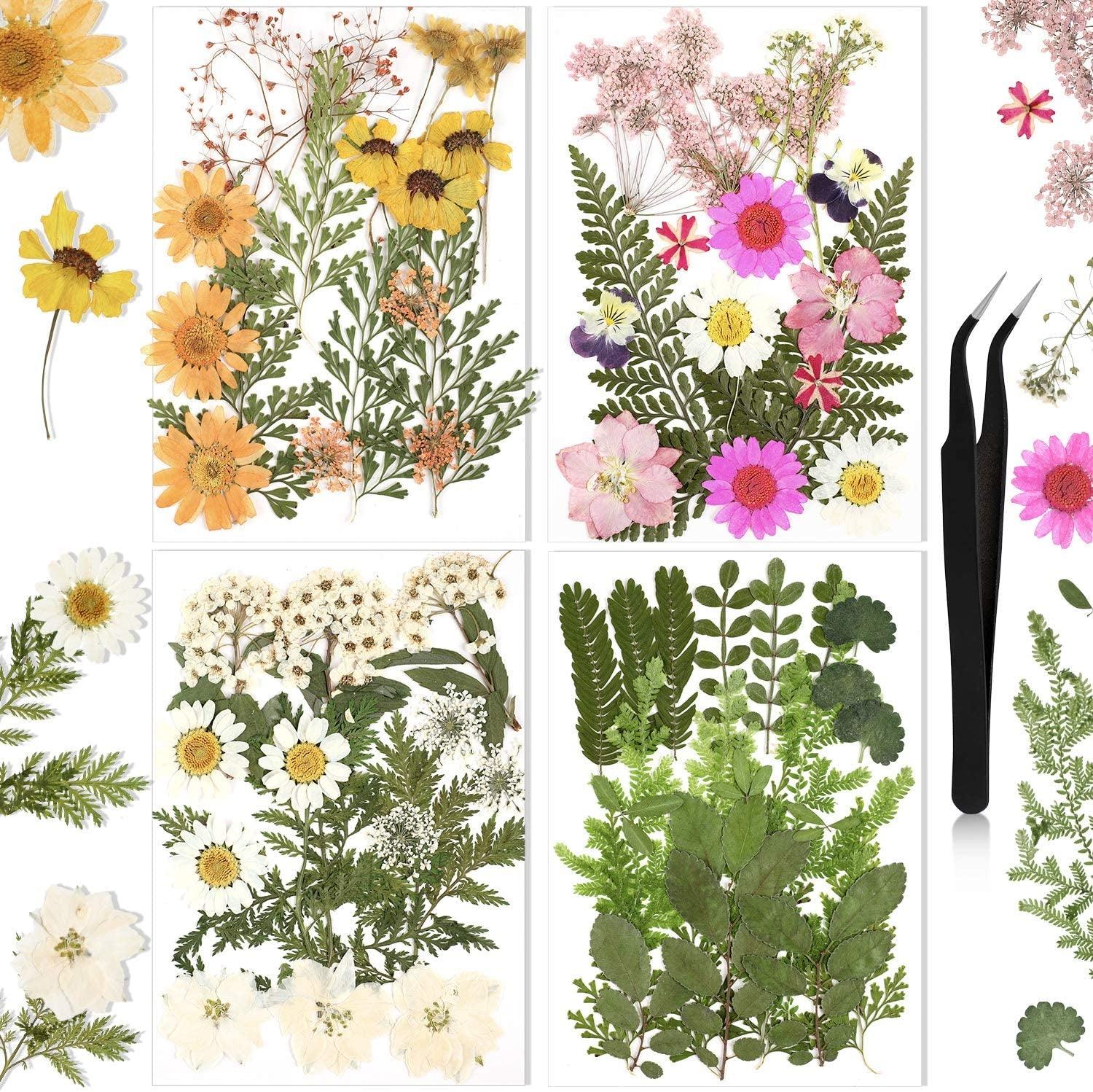 Pressed Flowers Resin Flowers for Resin Mold, Real Daisy Dried Flower Leaves Natural with Tweezers for Scrapbooking DIY Candle Accessories Jewelry WoodArtSupply