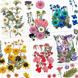 Dried Flowers for Resin, 103Pcs Natural Flowers and Leaves Compressed, Vacuum Packed DIY Pressed Flowers for Epoxy, Jewelry, Candles, Soap, Nail WoodArtSupply