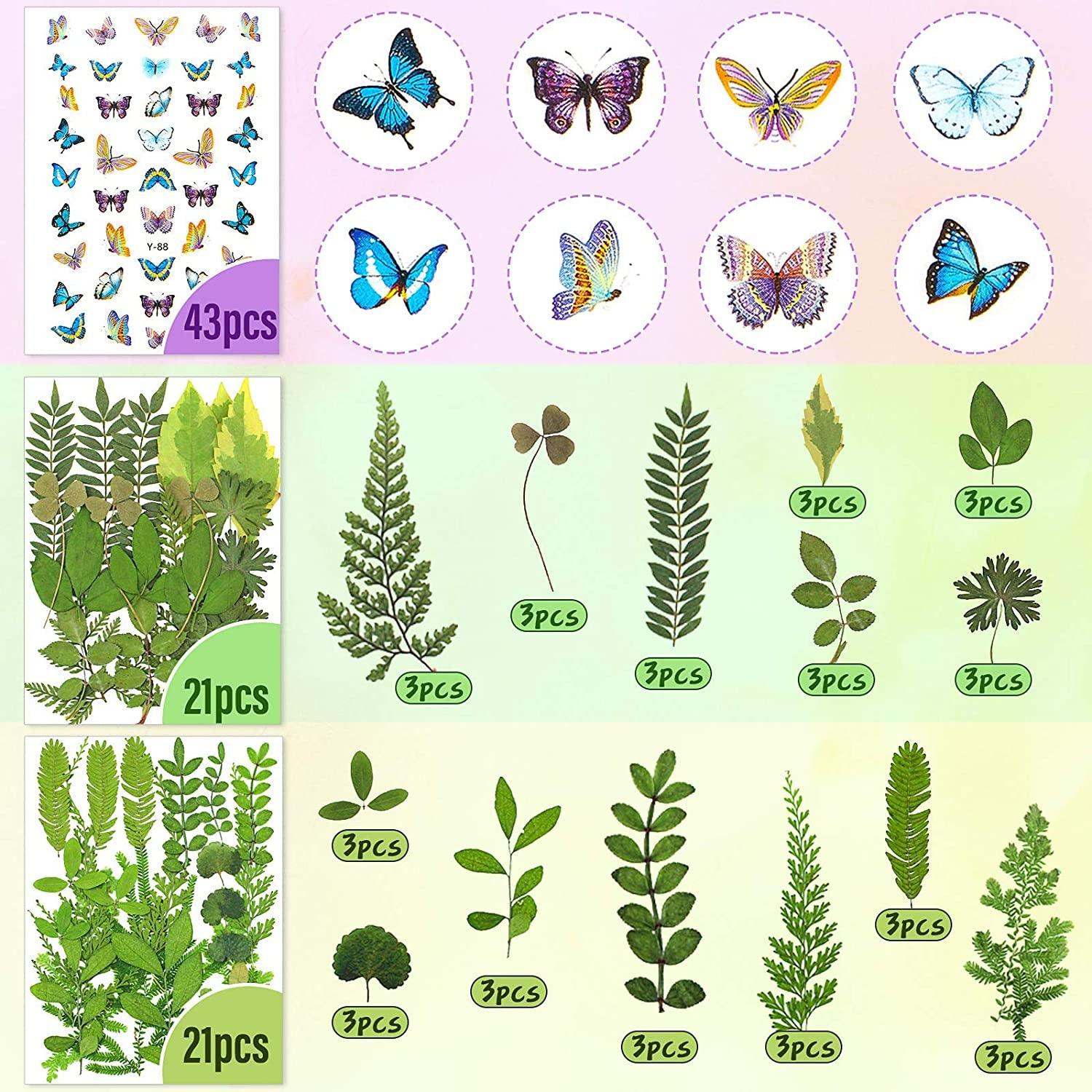 223 Pieces Real Dried Flowers Leaves and Butterfly Stickers Set, Multiple Pressed Dry Flowers Colorful Natural Daisies Flowers and Adhesive Butterfly WoodArtSupply