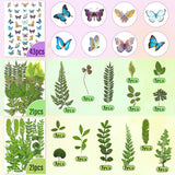 223 Pieces Real Dried Flowers Leaves and Butterfly Stickers Set, Multiple Pressed Dry Flowers Colorful Natural Daisies Flowers and Adhesive Butterfly WoodArtSupply