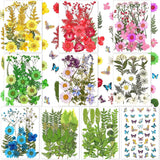 223 Pieces Real Dried Flowers Leaves and Butterfly Stickers Set, Multiple Pressed Dry Flowers Colorful Natural Daisies Flowers and Adhesive Butterfly WoodArtSupply