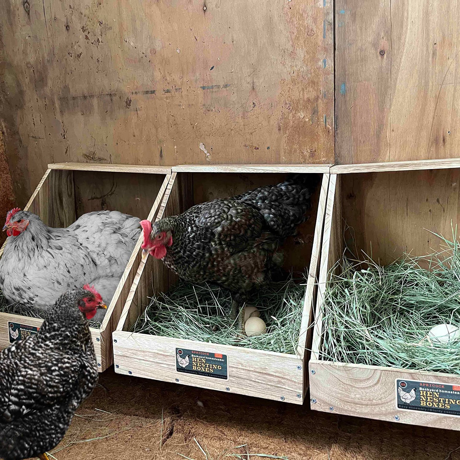 Single Compartment Hens Nesting Box, Chicken Coop Accessories, Wood Nesting Boxes for Up to 5 Hens, Big Duty Laying Nest Box for Duck and Poultry(1 APRICOCK