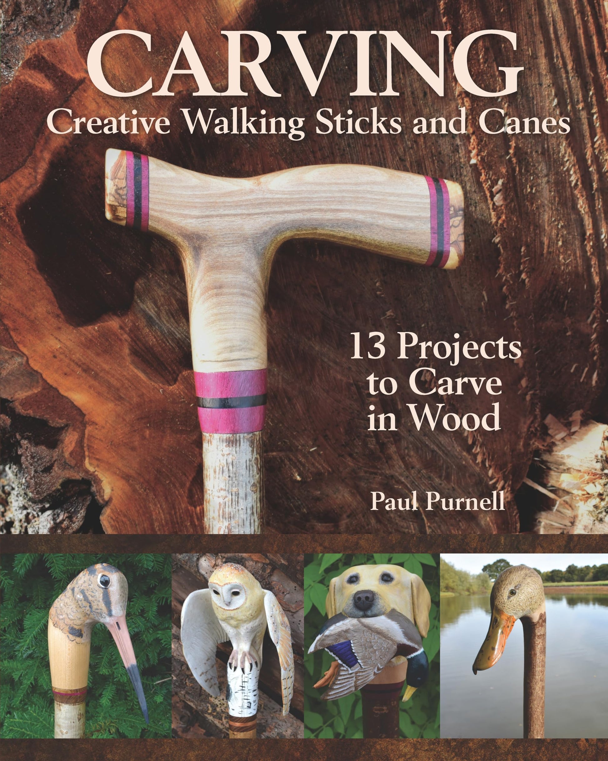 Carving Creative Walking Sticks and Canes: 13 Projects to Carve in Wood (Fox Chapel Publishing) Step-by-Step Instructions, Stickmaking Tips, - WoodArtSupply